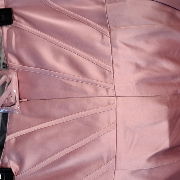 Dress the Population Cosette Corset Strapless Bodycon Dress in Rose Canyon - Picture 6 of 8